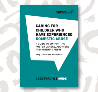 Caring for children who have experienced domestic abuse book cover