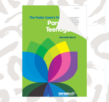 The foster carer’s handbook on parenting teenagers front cover