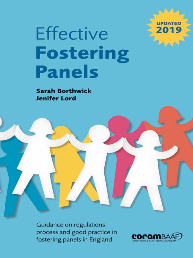 Panel advisors: their role and responsibilities for fostering and ...