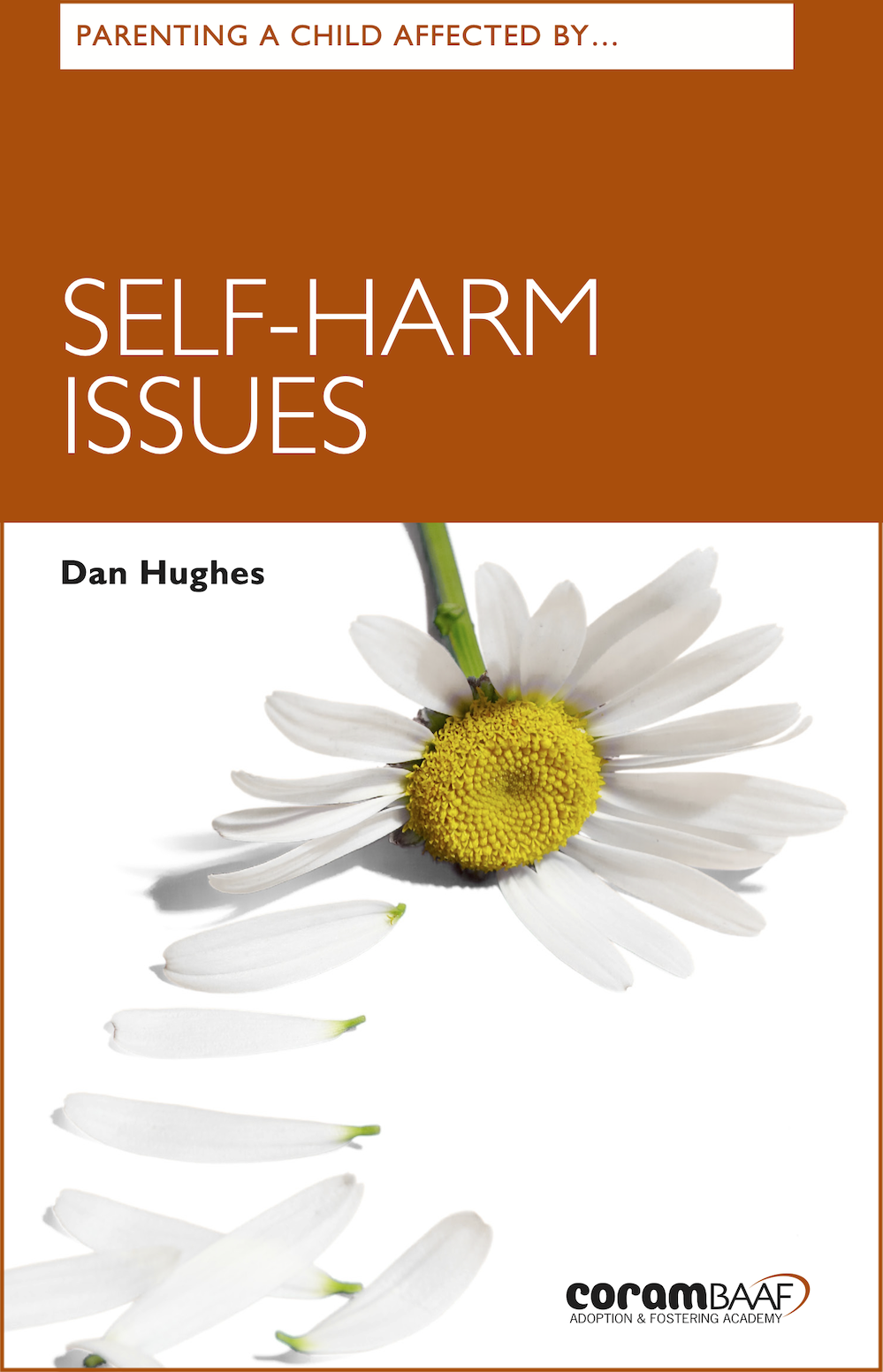Parenting a Child affected by Self-Harm Issues cover