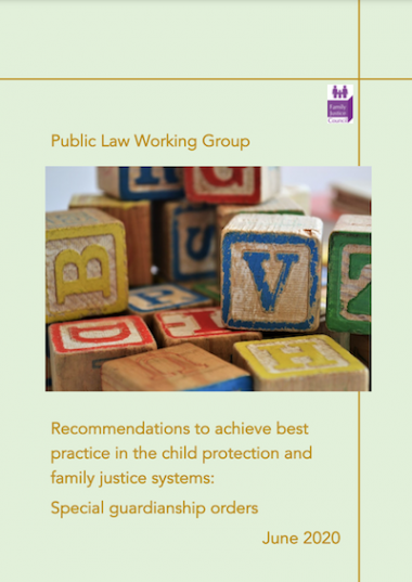 sg best practice guidance