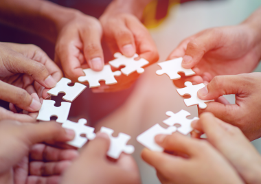 jigsaw pieces