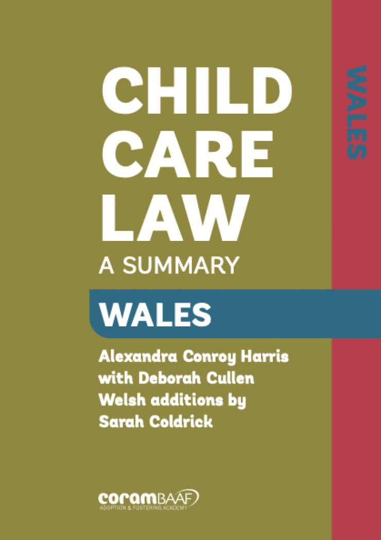 Child Care Law Wales cover