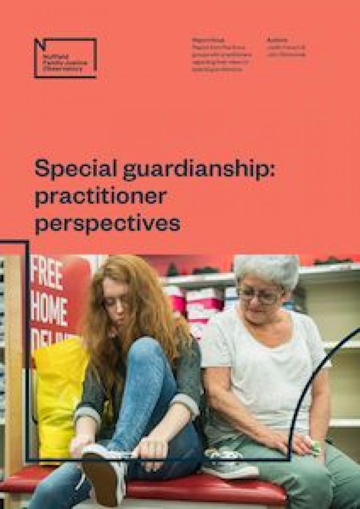 practitioner perspectives cover