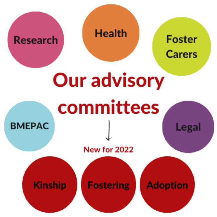 Advisory Committees infographics